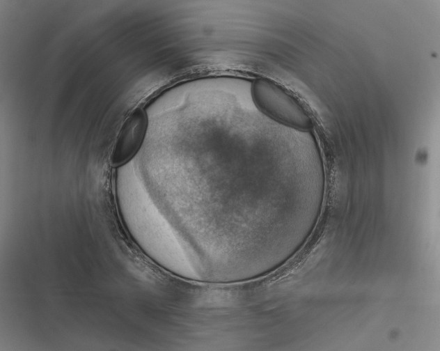 X0000116630785201001081251