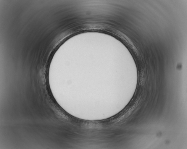 X0000116630786201001081251