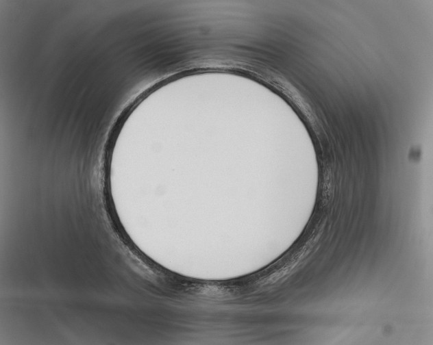 X0000116630787201001081251