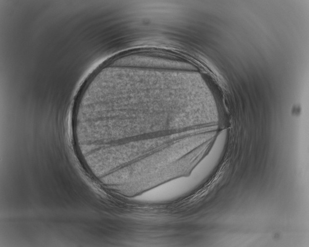 X0000116630788201001081251