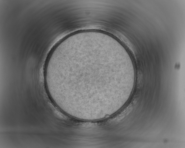 X0000116630789201001081251