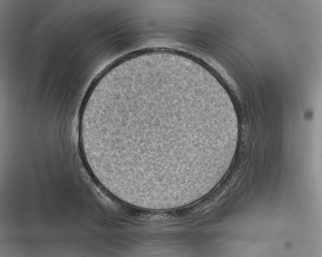 X0000116630791201001081251
