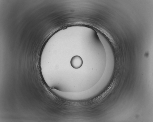 X0000116630793201001081251