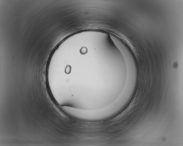 X0000116630794201001081251
