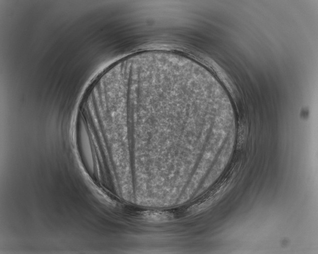X0000116630795201001081251