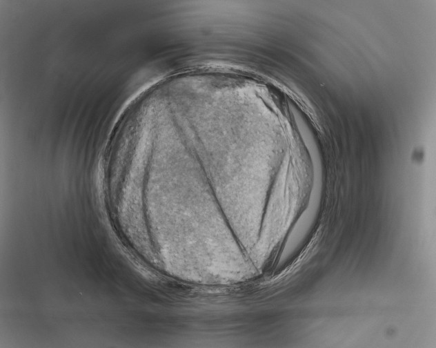 X0000116630798201001081251