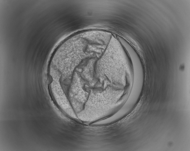 X0000116630800201001081251