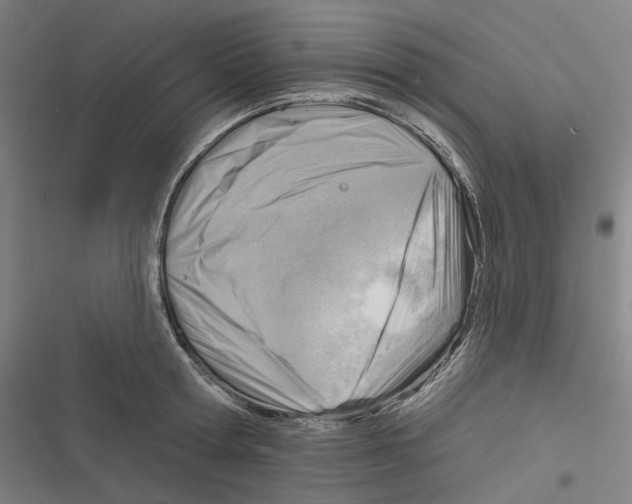X0000116630802201001081251