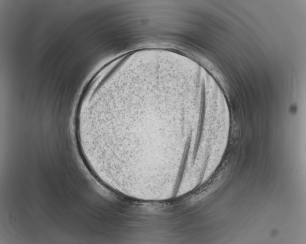 X0000116630803201001081251