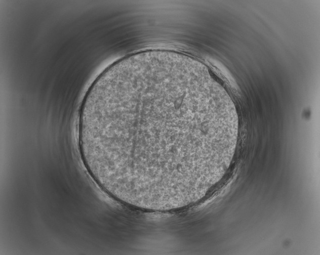 X0000116630804201001081251