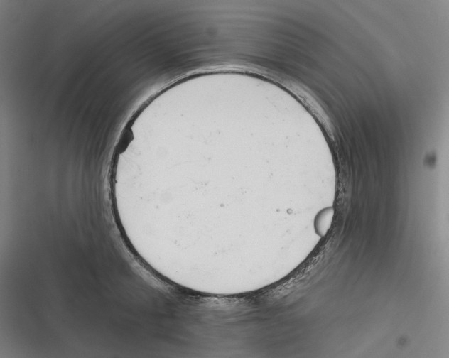 X0000116630805201001081251