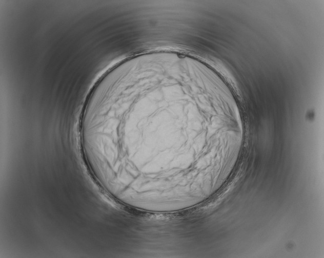 X0000116630806201001081251