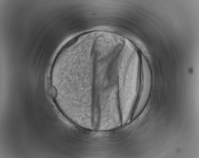 X0000116630808201001081251