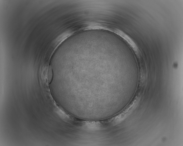 X0000116630809201001081251