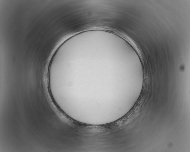 X0000116630811201001081251