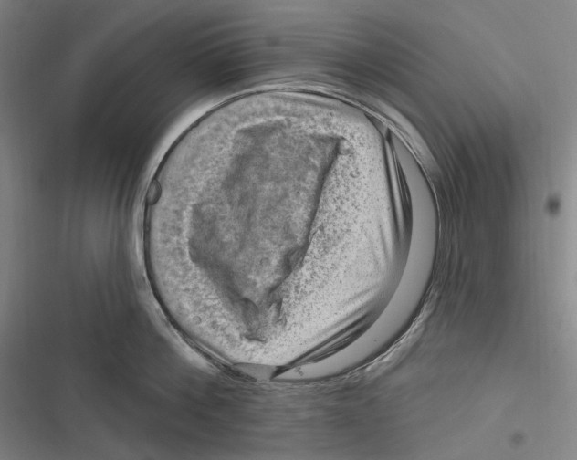 X0000116630812201001081251