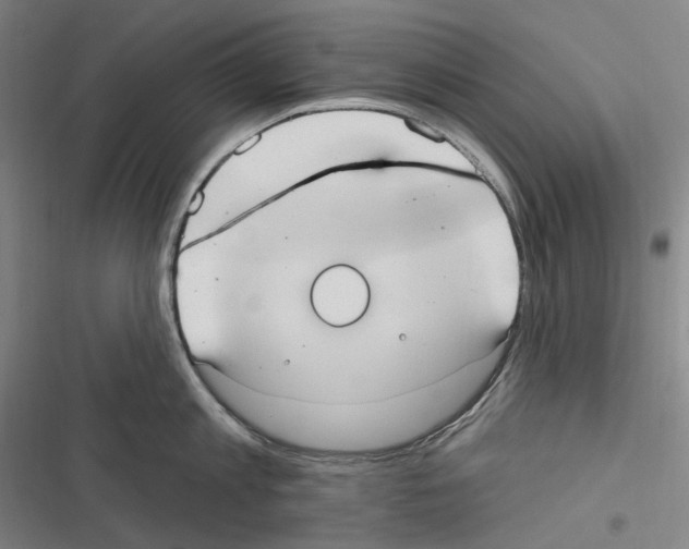 X0000116630813201001081251