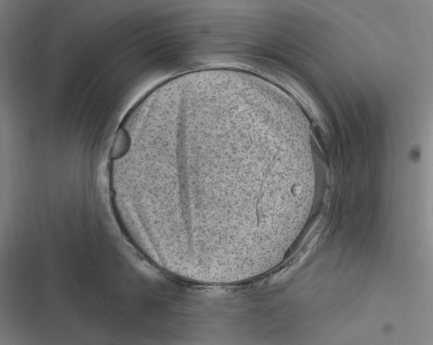 X0000116630814201001081251