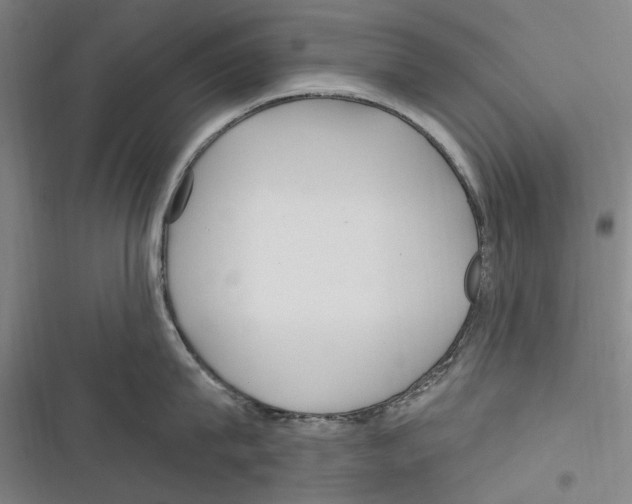 X0000116630815201001081251