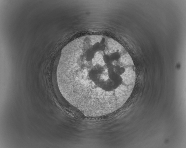 X0000116630817201001081250