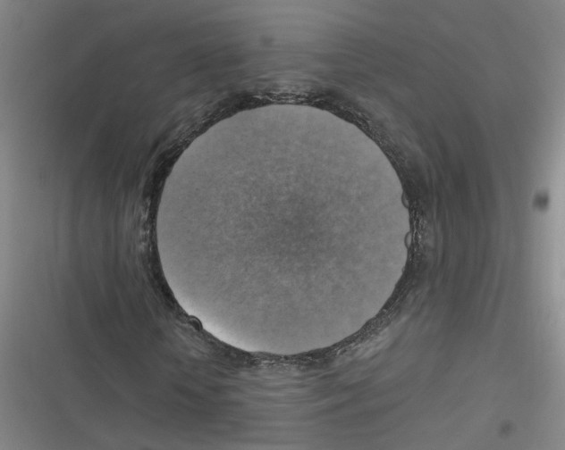 X0000116630818201001081250