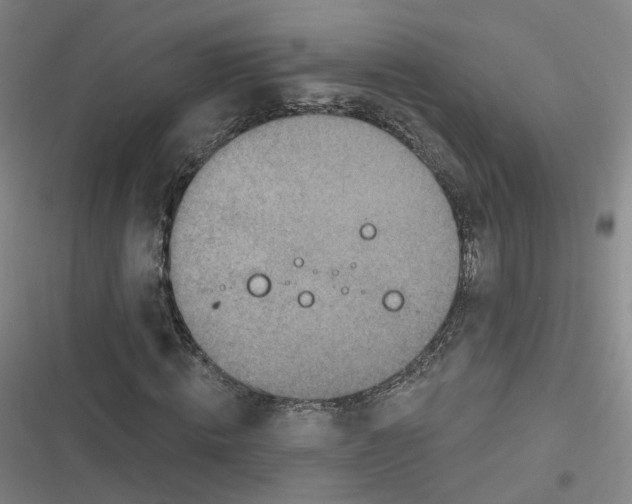 X0000116630820201001081250