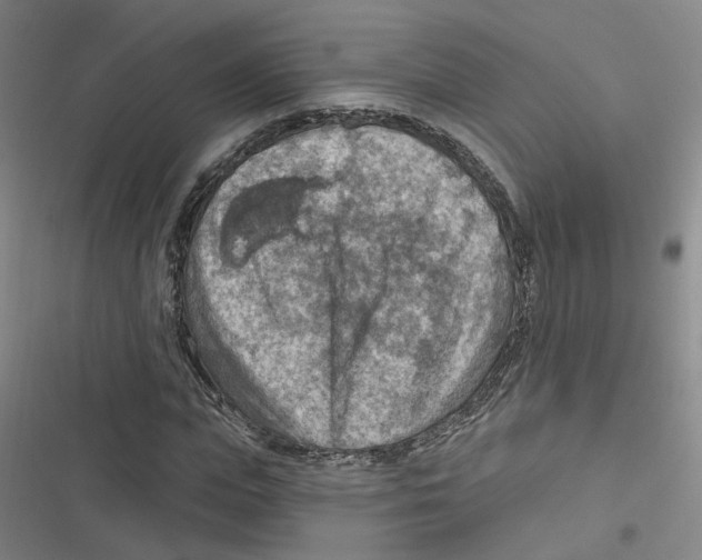 X0000116630823201001081250