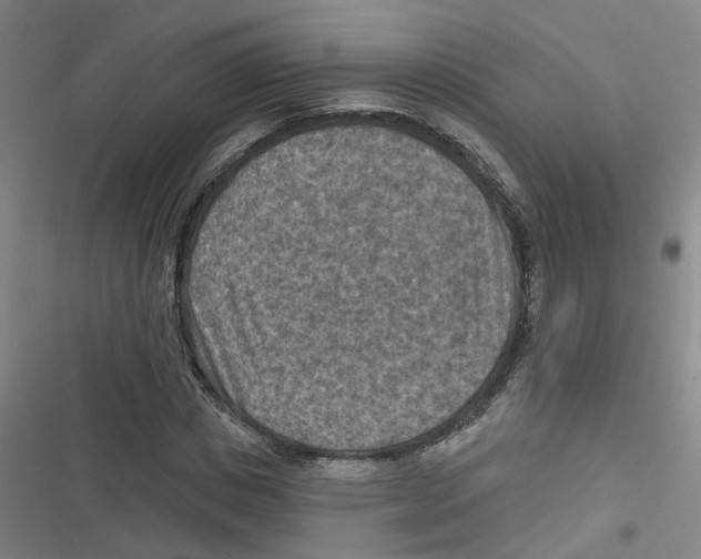 X0000116630825201001081251