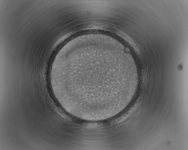 X0000116630826201001081251