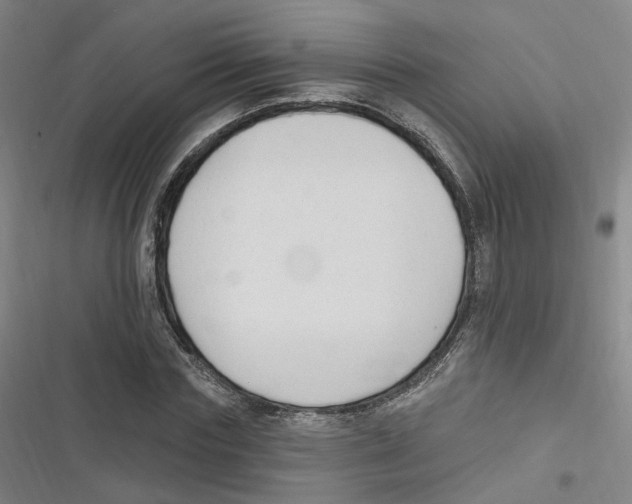 X0000116630827201001081251