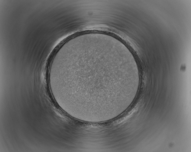 X0000116630830201001081251