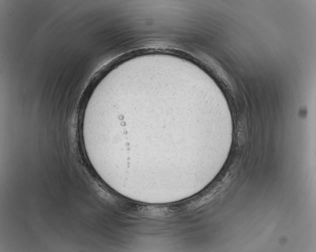 X0000116630831201001081251