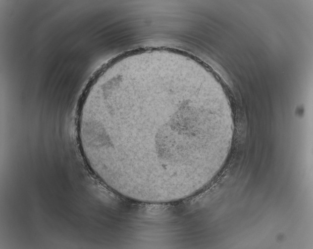 X0000116630832201001081251