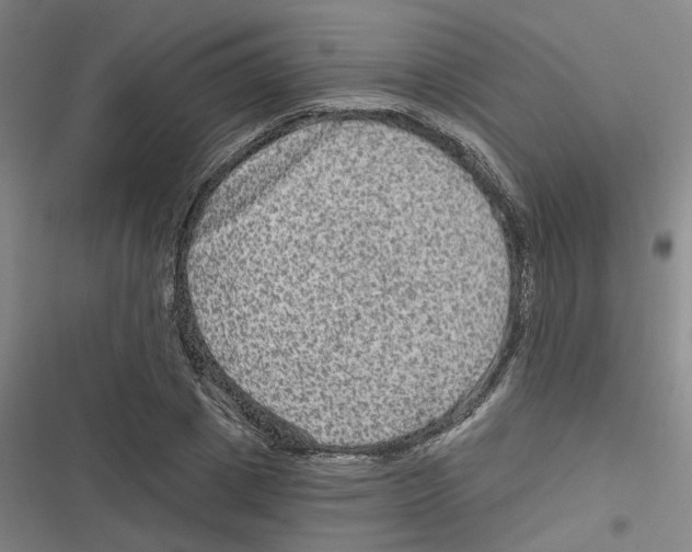 X0000116630833201001081251
