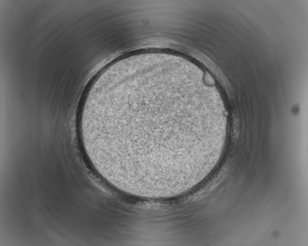 X0000116630834201001081251