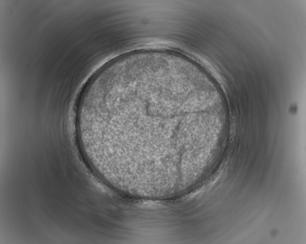 X0000116630835201001081251