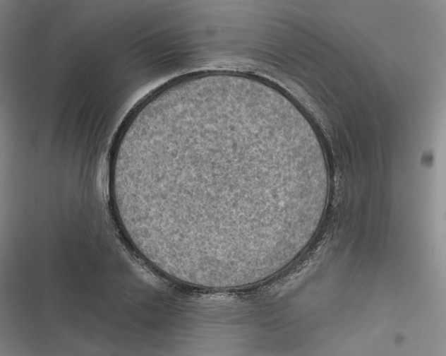 X0000116630838201001081251