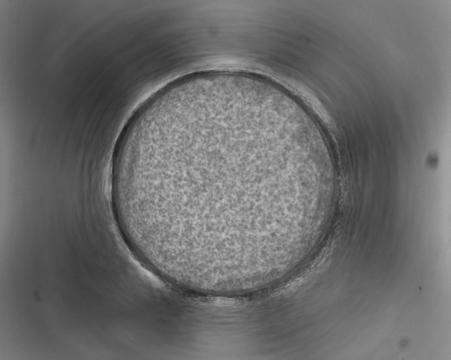 X0000116630839201001081251