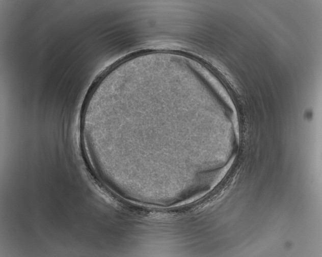 X0000116630840201001081251