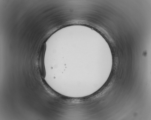 X0000116630841201001081251