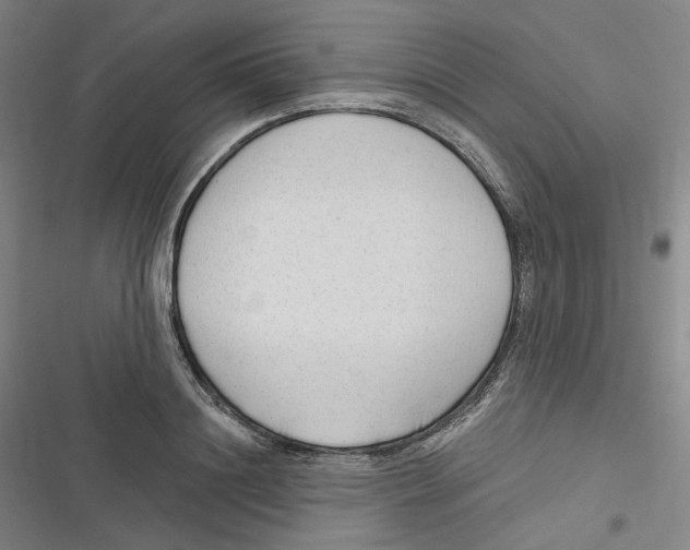 X0000116630844201001081251