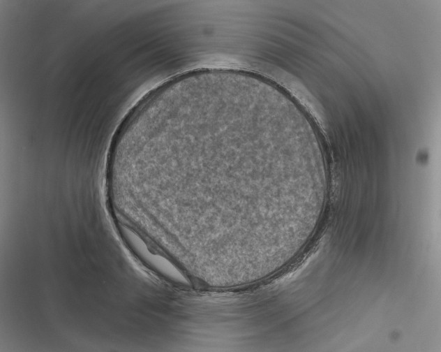 X0000116630845201001081251