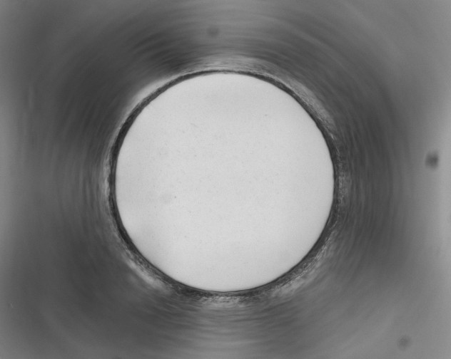 X0000116630846201001081251