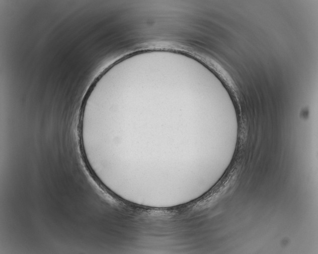 X0000116630847201001081251