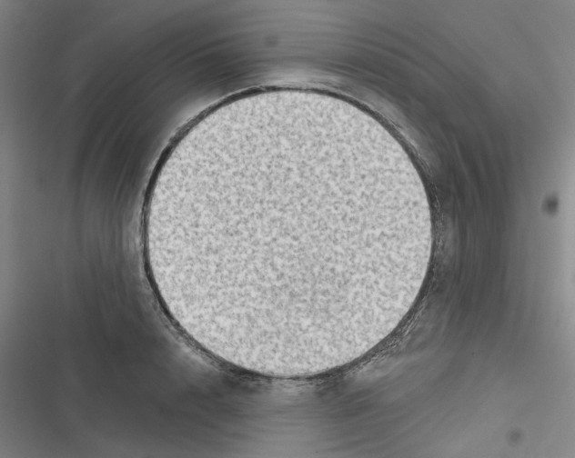 X0000116630848201001081251
