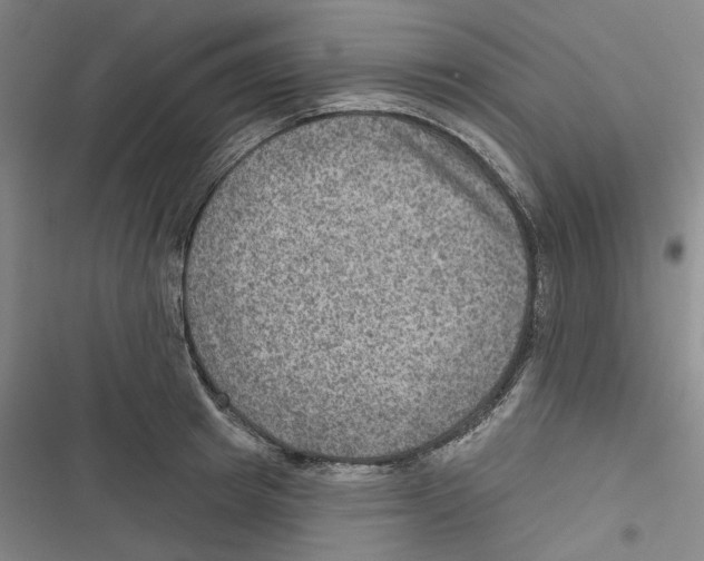 X0000116630849201001081251