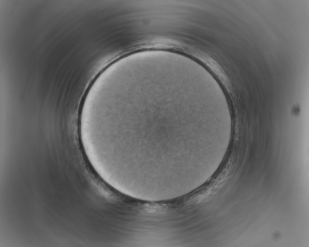 X0000116630850201001081251