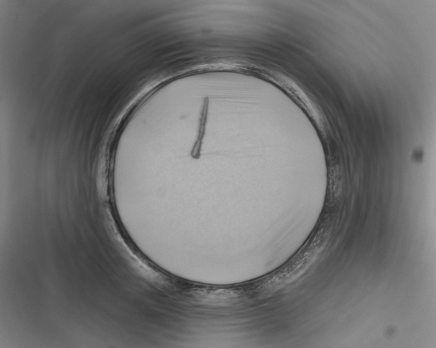 X0000116630851201001081251