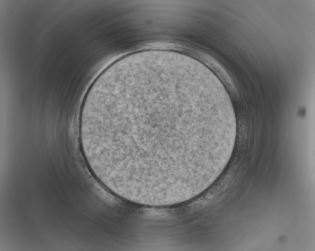 X0000116630852201001081251