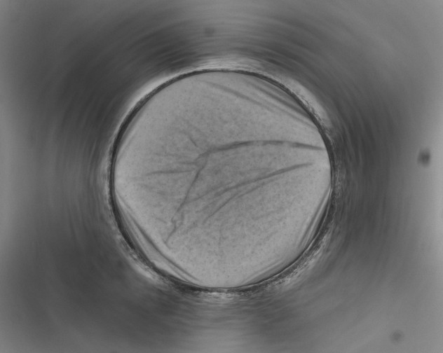 X0000116630854201001081251